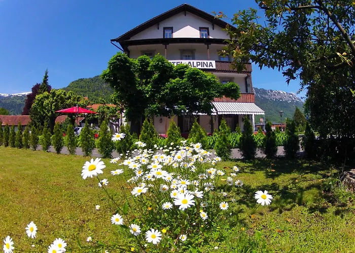 Alpina Hotel