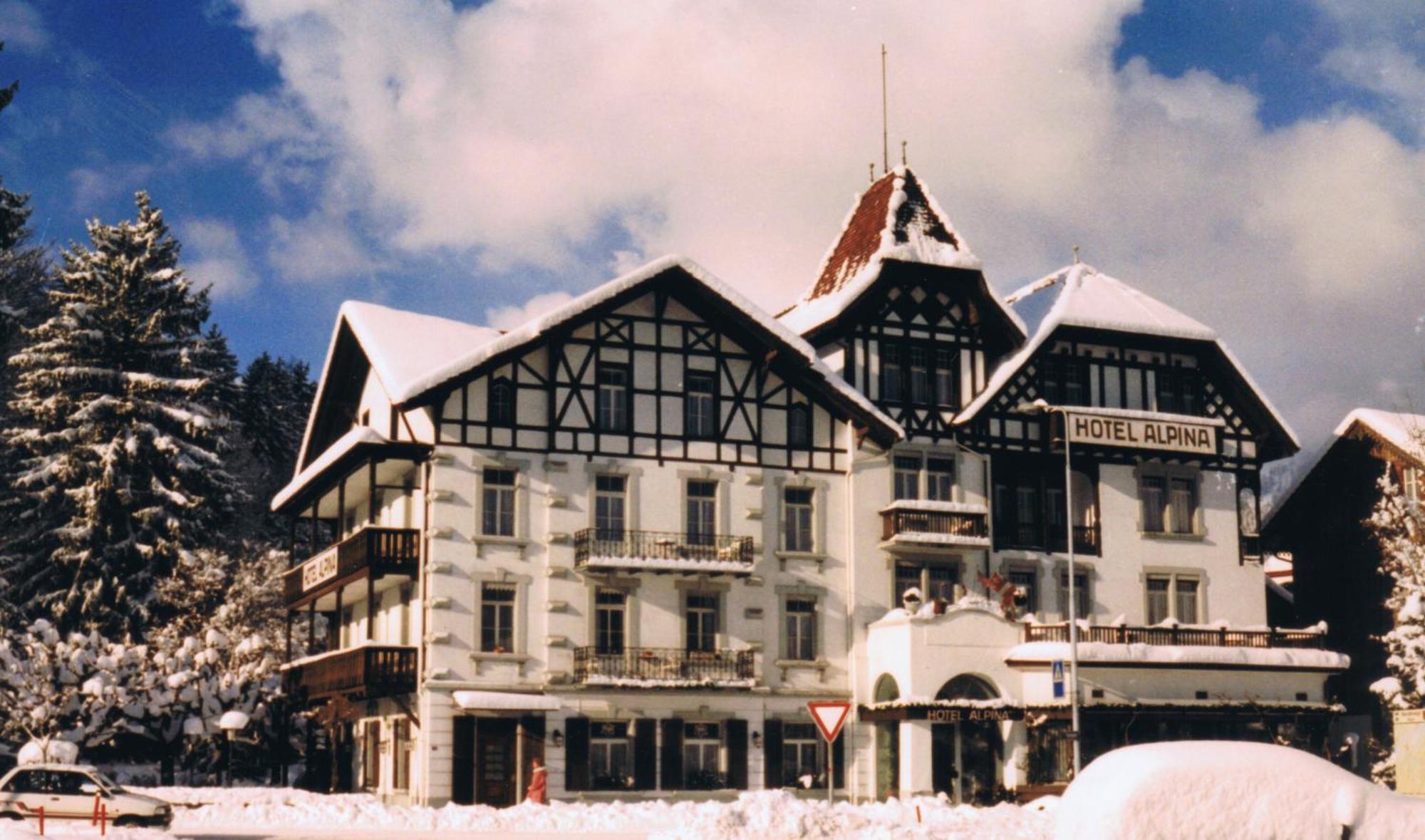 Hotel Alpina 2*