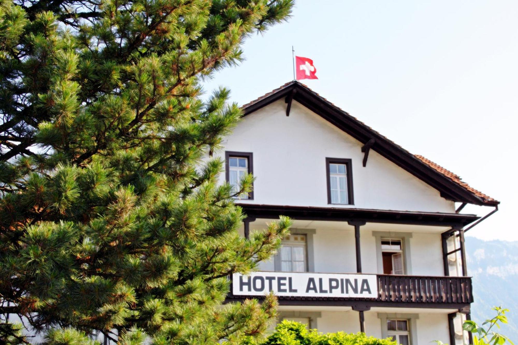 Hotel Alpina 2*